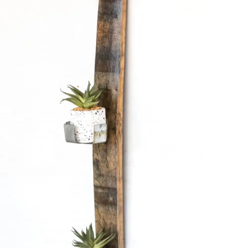Wall Planter Made from a Barrel Stave